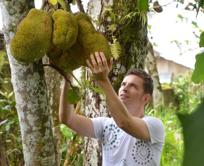 Lotao's sustainable organic jackfruit from India 
