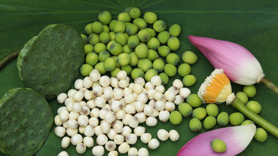 Lotus: Superfood lotus seeds