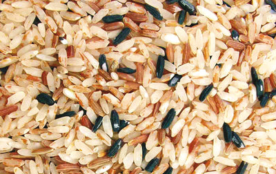 Rice - the little miracle grain 