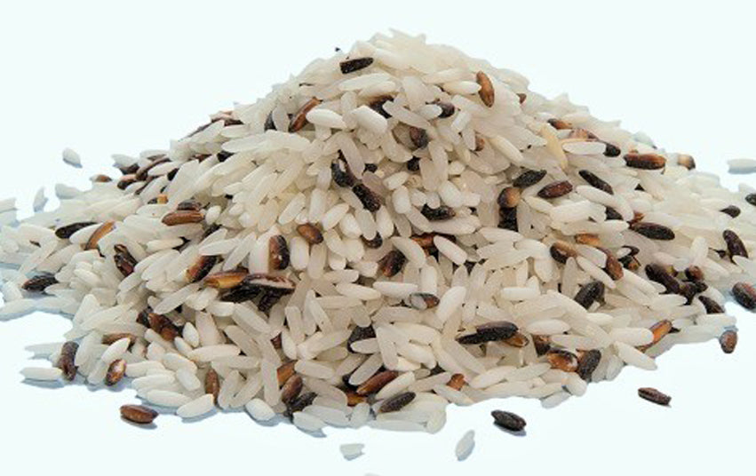 Laotisches Spargelrisotto mit feinen Reh-Nüsschen