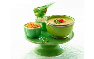 Persian rice and herb soup Ash-e-sadeh