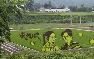 Tanbo Art - art made from rice plants