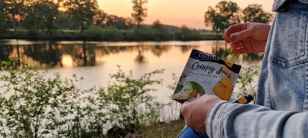 Exotische Fruchtchips in Bio-Qualität ohne Zuckerzusatz von Lotao
