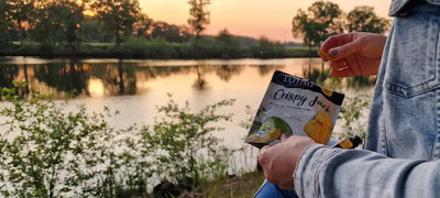 Entdecke die bio-veganen Lebensmittel aus der Kategorie Exotische Fruchtchips von Lotao