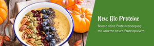 Launch der veganen Proteinpulver in BIO-Qualität bei Lotao, Desktop Banner